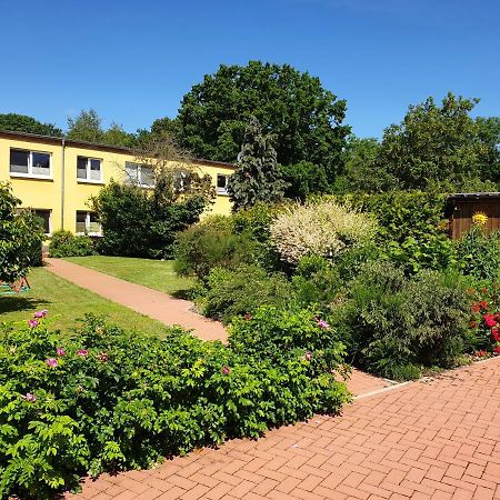 Ferienwohnung Ruegen In Samtens Экстерьер фото